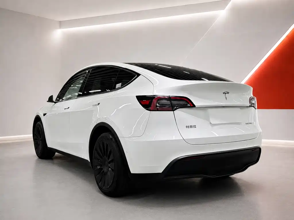 Tesla Model Y — фото 9
