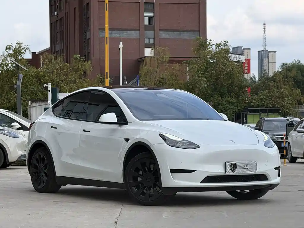 Tesla Model Y — фото 3