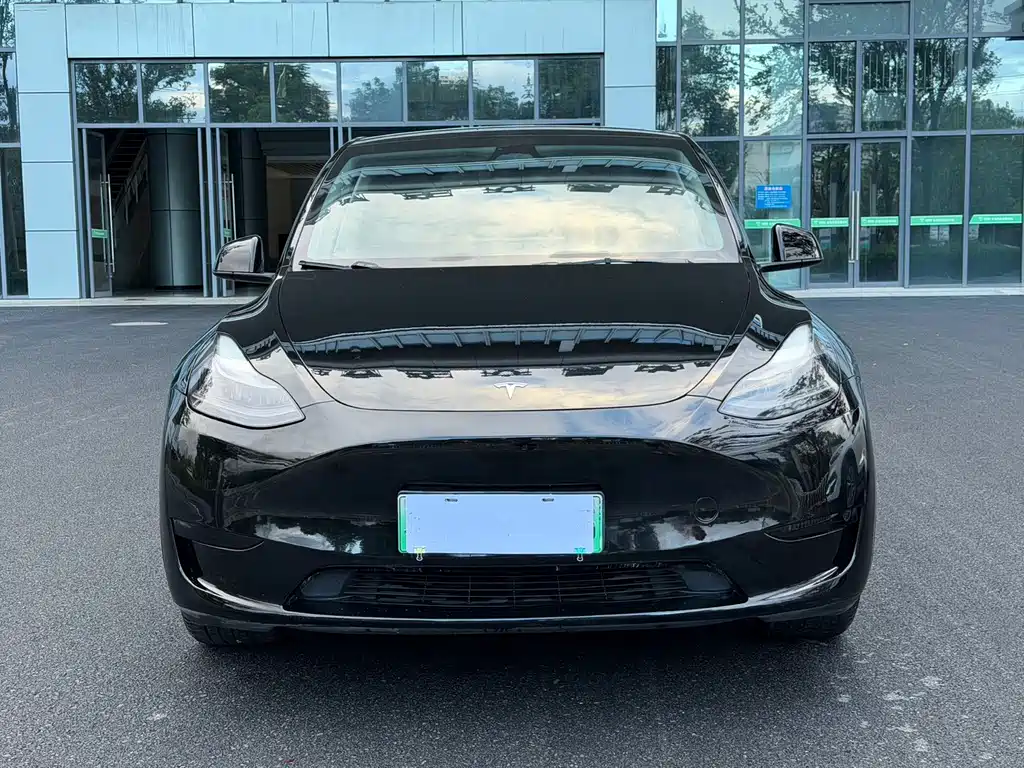 Tesla Model Y — фото 2
