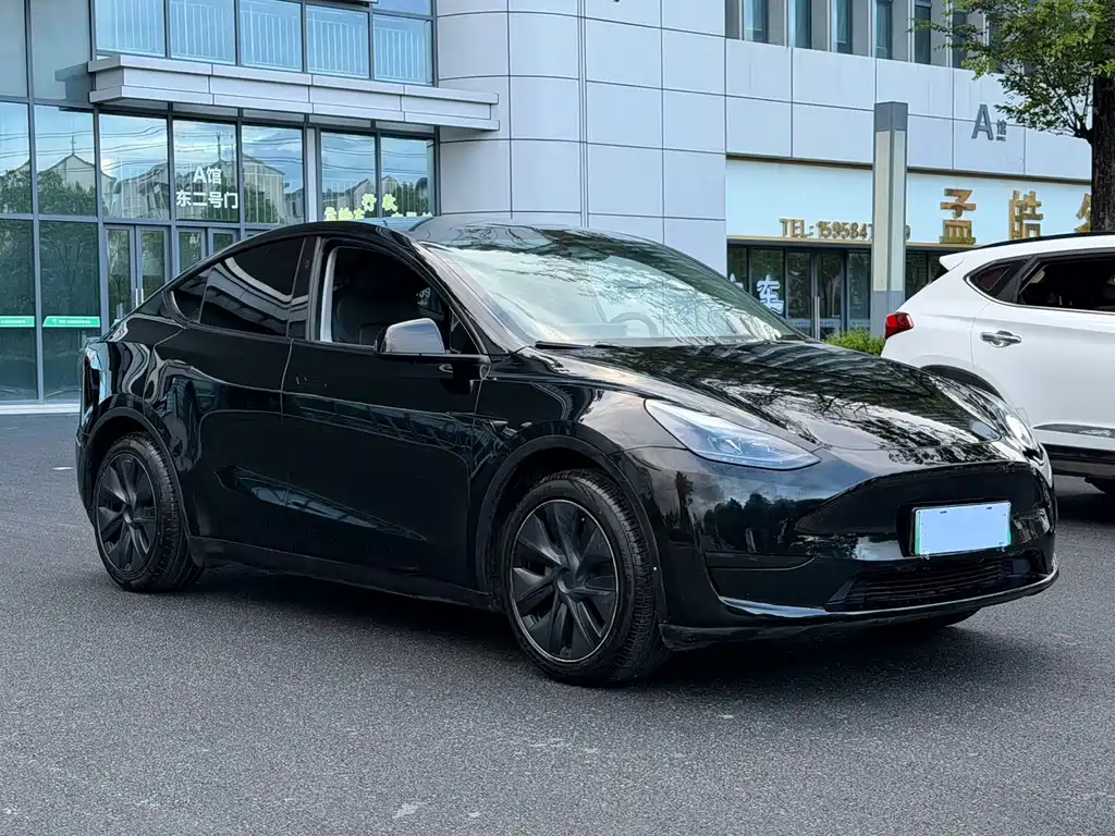 Tesla Model Y — фото 3