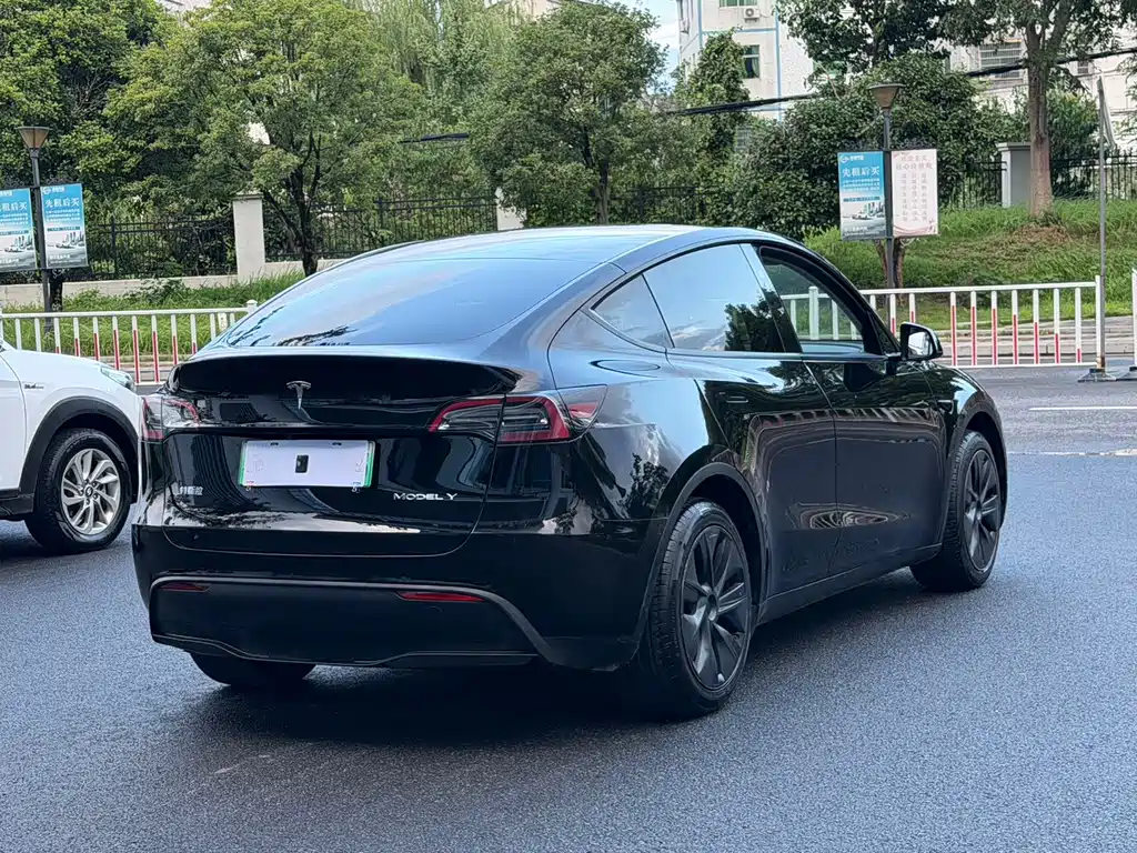 Tesla Model Y — фото 5