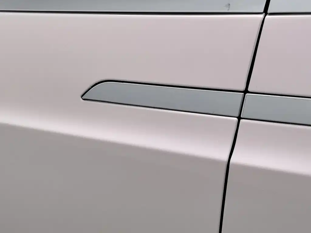 Tesla Model X — фото 18