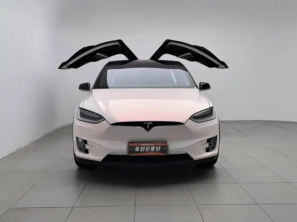 Tesla Model X — фото 3