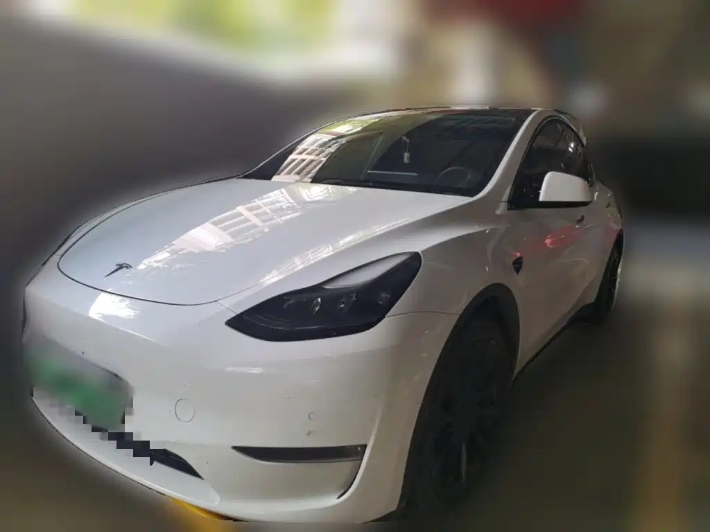 Tesla Model Y — фото 2