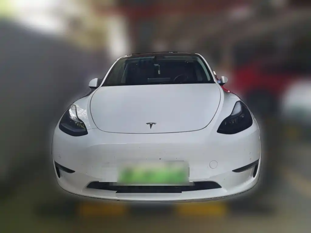 Tesla Model Y — фото 23