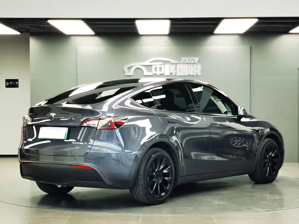 Tesla Model Y — фото 3
