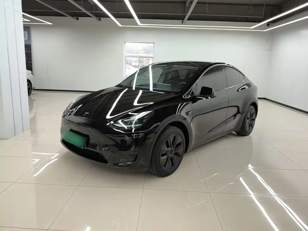 Tesla Model Y — фото 2