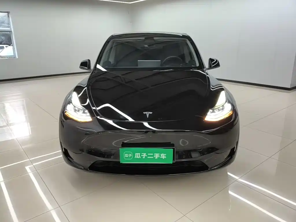 Tesla Model Y — фото 3