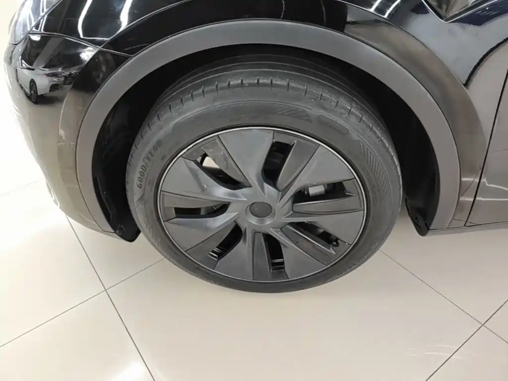 Tesla Model Y — фото 23