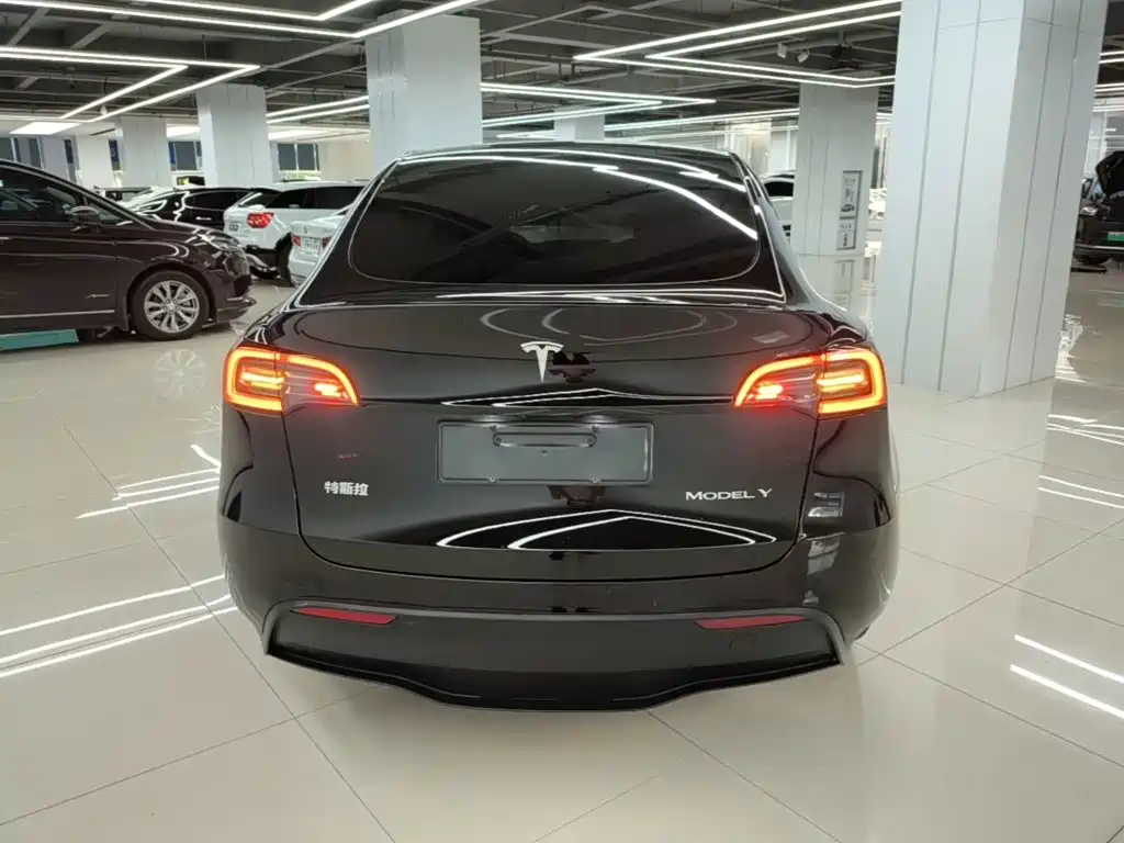 Tesla Model Y — фото 6