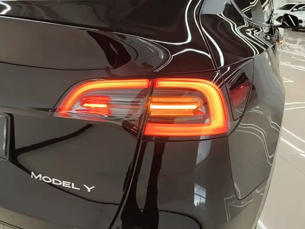 Tesla Model Y — фото 8