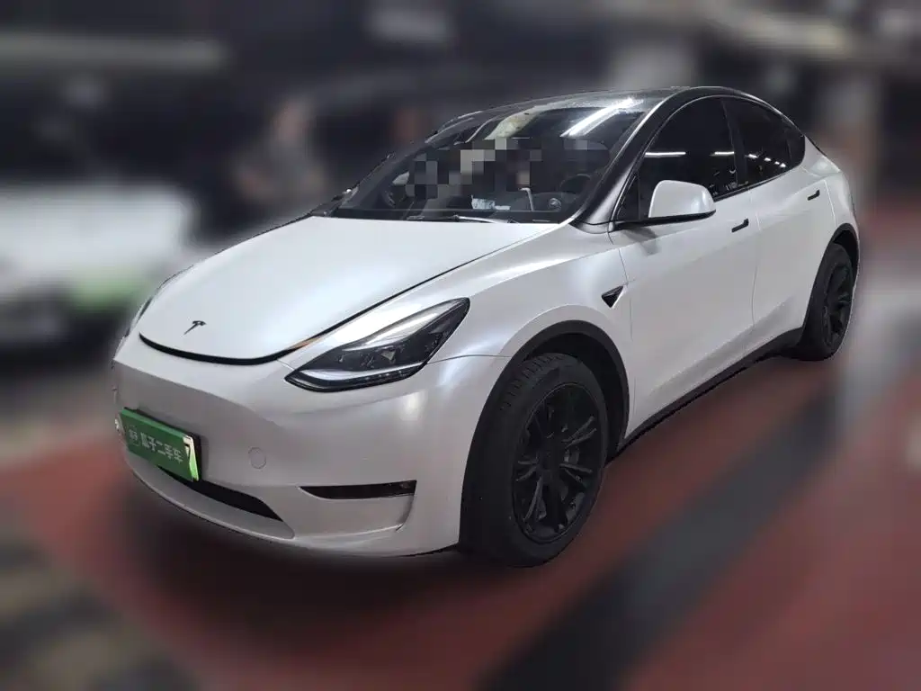 Tesla Model Y — фото 2