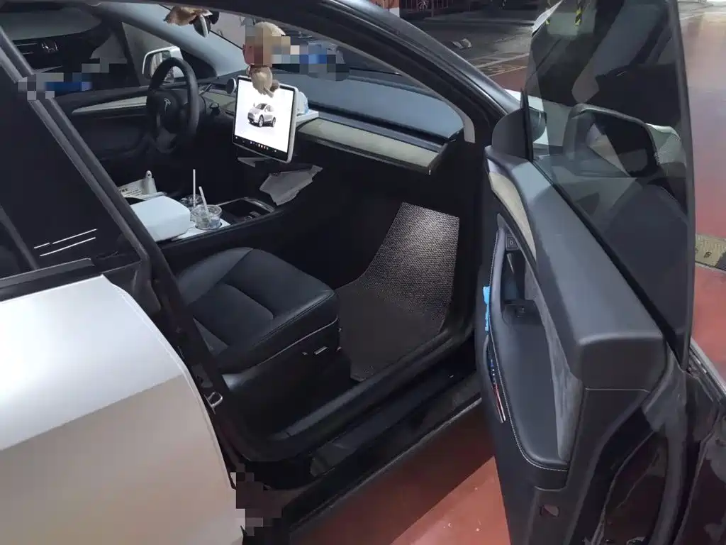 Tesla Model Y — фото 21