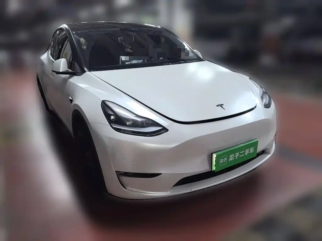 Tesla Model Y — фото 25