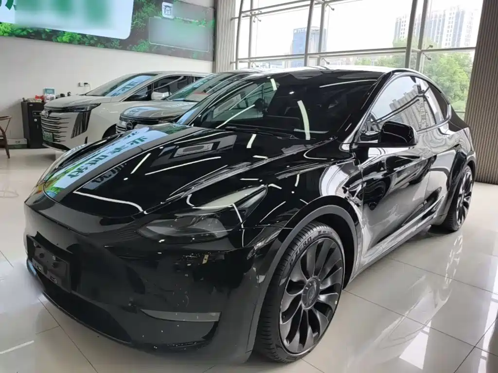 Tesla Model Y — фото 2