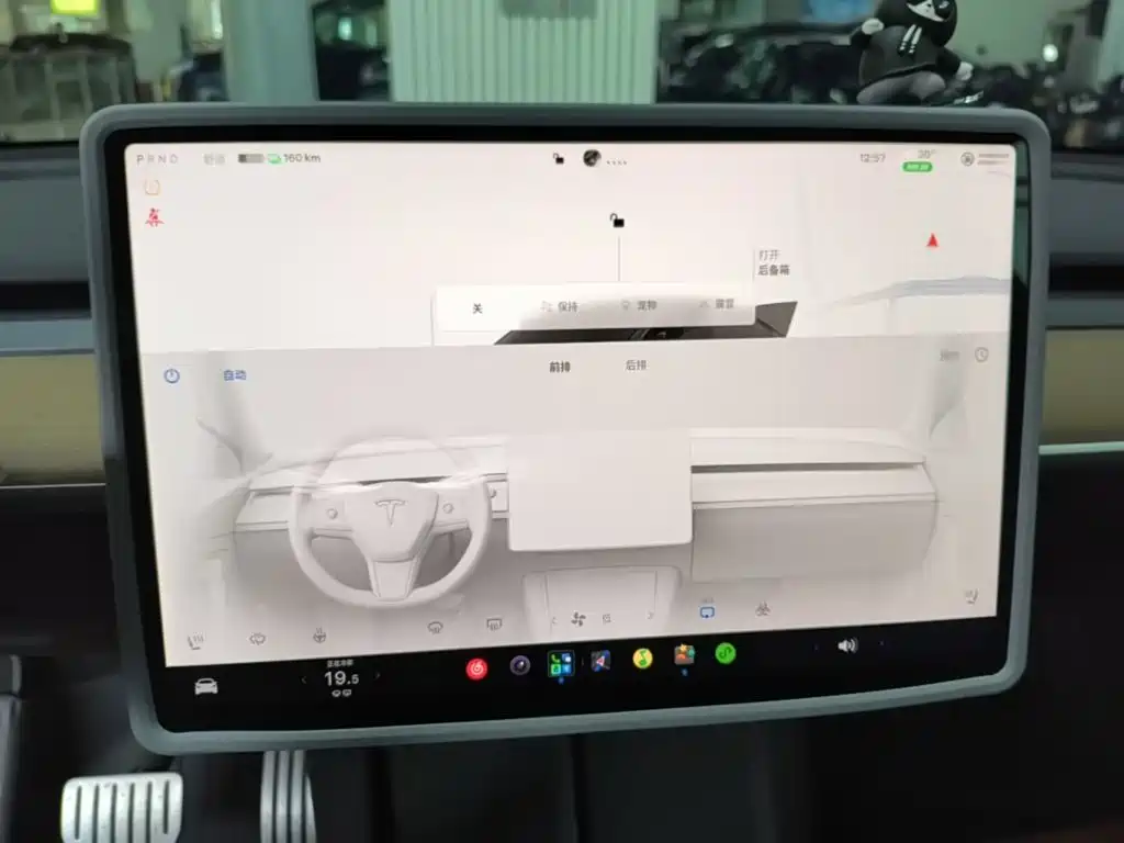 Tesla Model Y — фото 13