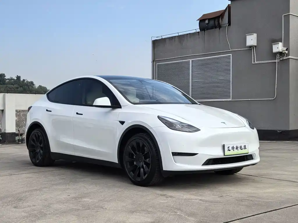 Tesla Model Y — фото 3