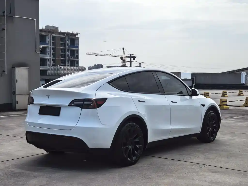 Tesla Model Y — фото 4
