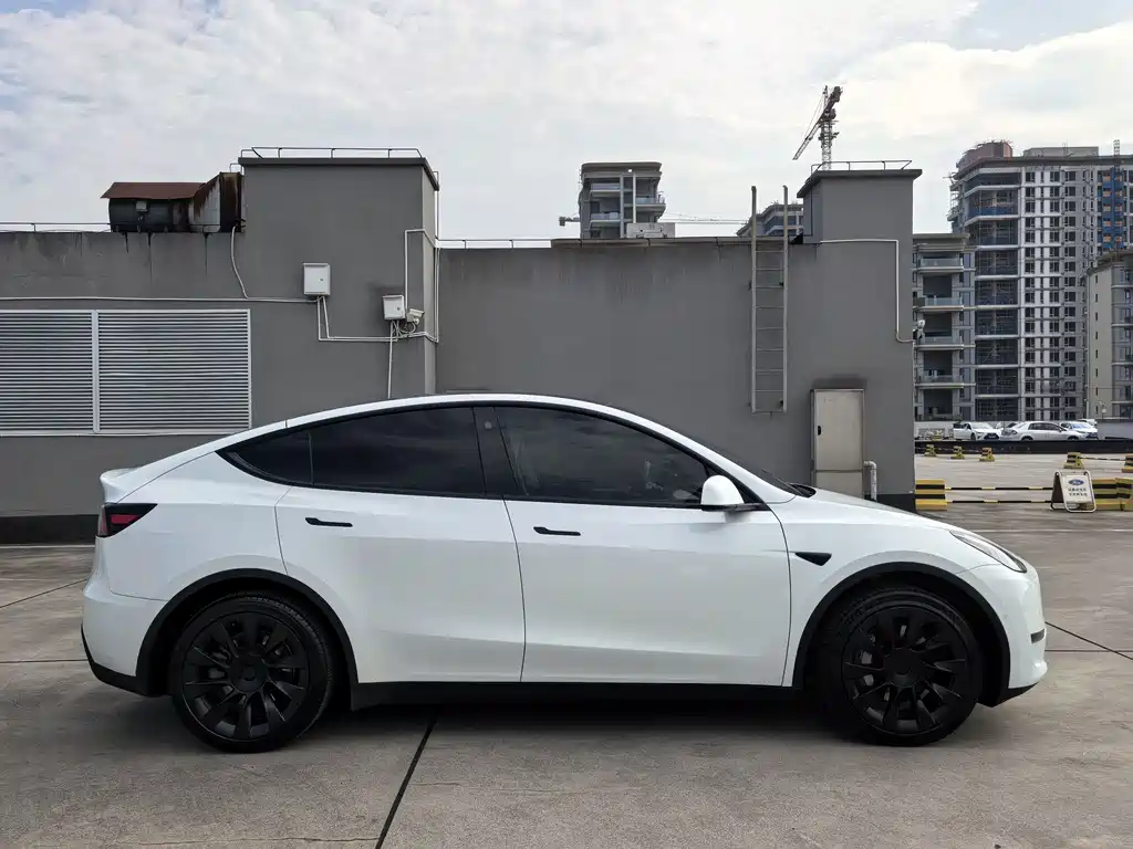 Tesla Model Y — фото 5
