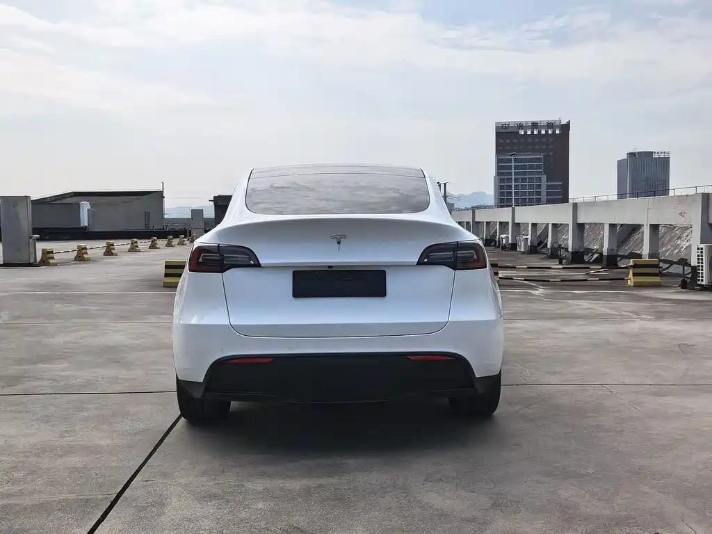 Tesla Model Y — фото 6