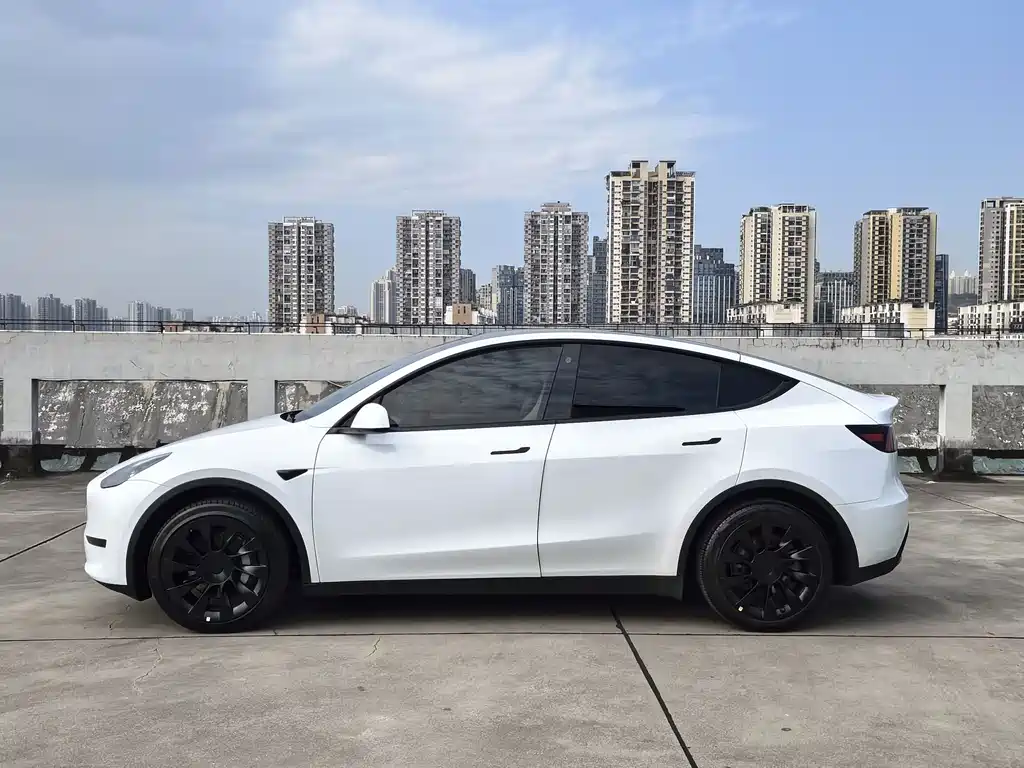 Tesla Model Y — фото 8