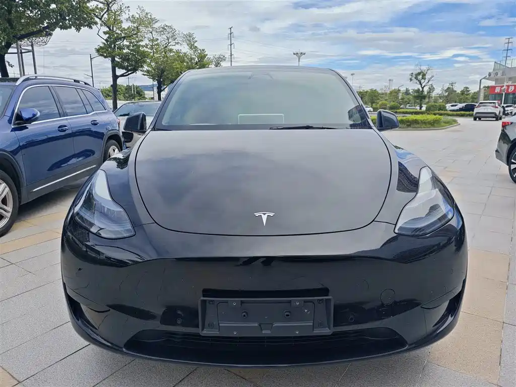 Tesla Model Y — фото 5