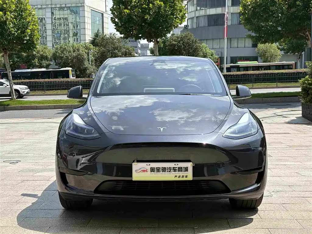 Tesla Model Y — фото 2