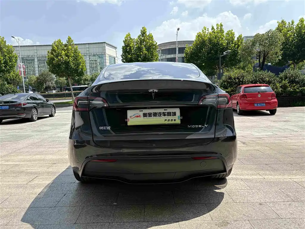 Tesla Model Y — фото 11
