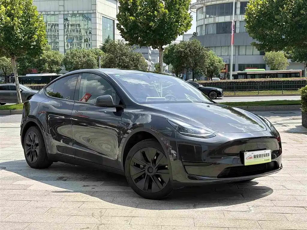 Tesla Model Y — фото 3