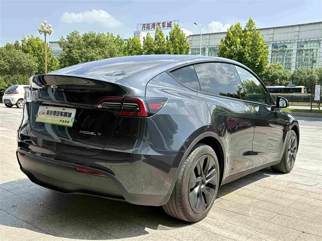 Tesla Model Y — фото 10