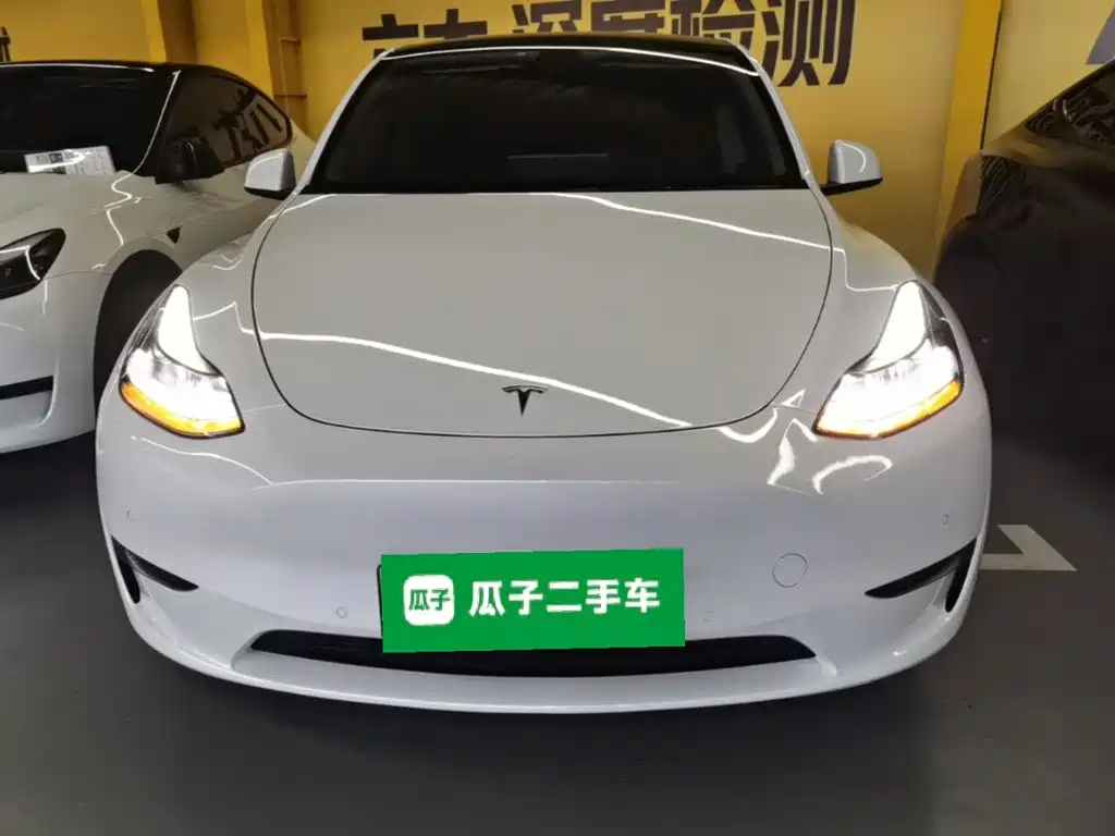 Tesla Model Y — фото 3