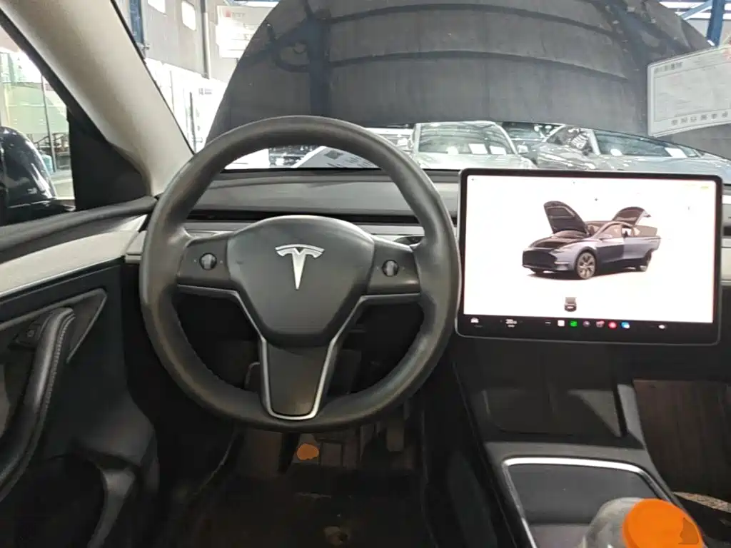 Tesla Model Y — фото 15