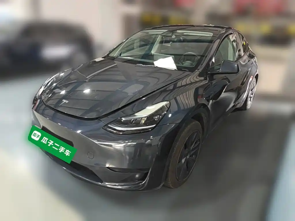 Tesla Model Y — фото 3