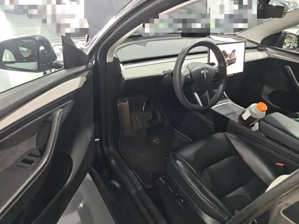 Tesla Model Y — фото 21