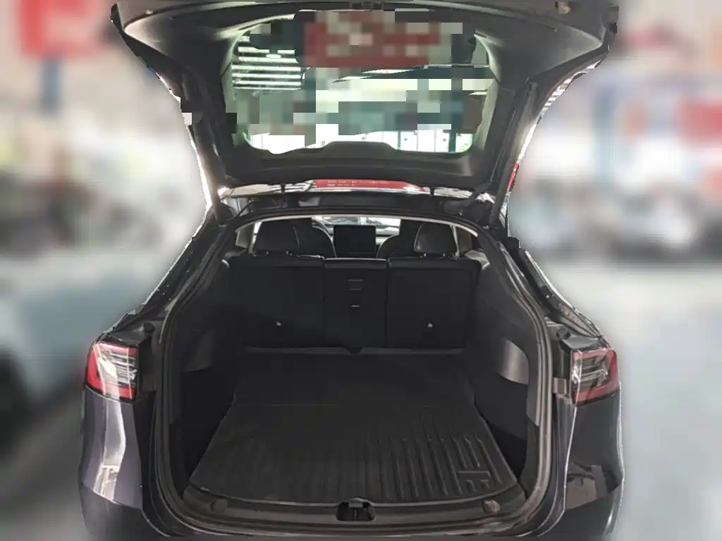 Tesla Model Y — фото 24