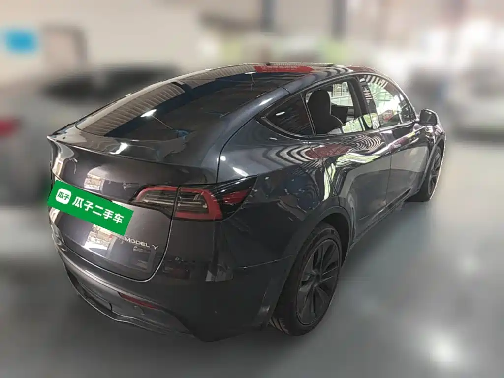 Tesla Model Y — фото 10