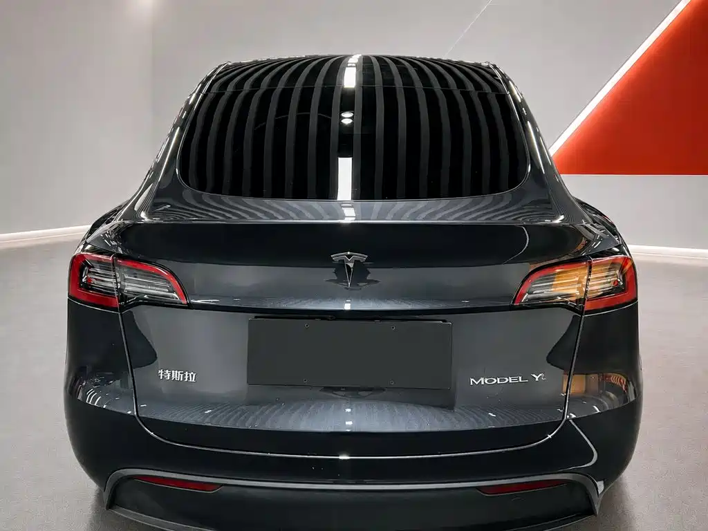 Tesla Model Y — фото 5