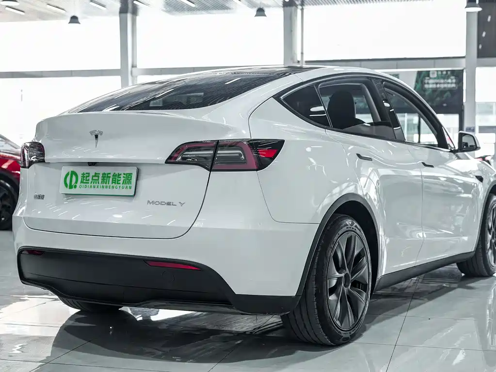 Tesla Model Y — фото 3