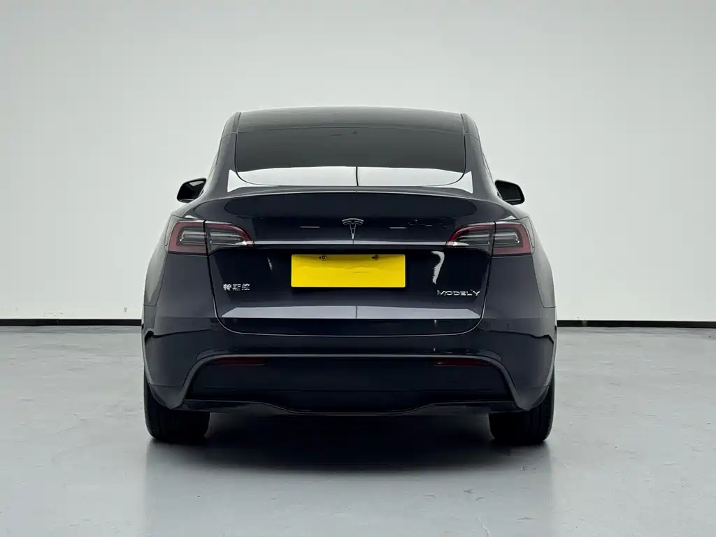Tesla Model Y — фото 5