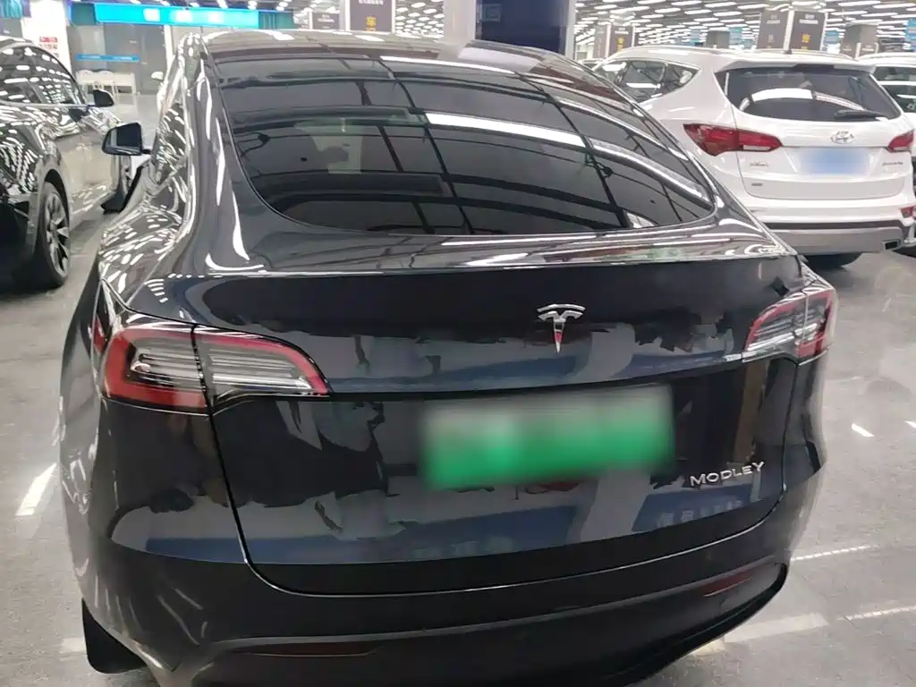 Tesla Model Y — фото 6