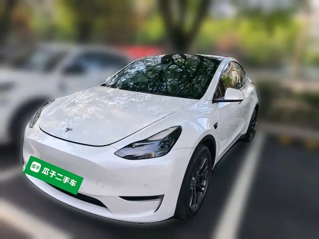 Tesla Model Y — фото 2