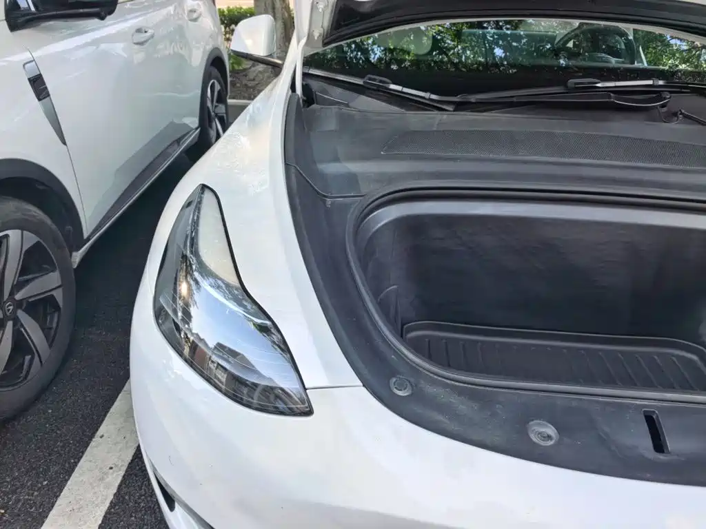 Tesla Model Y — фото 19