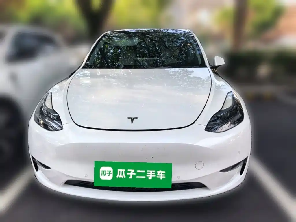 Tesla Model Y — фото 23