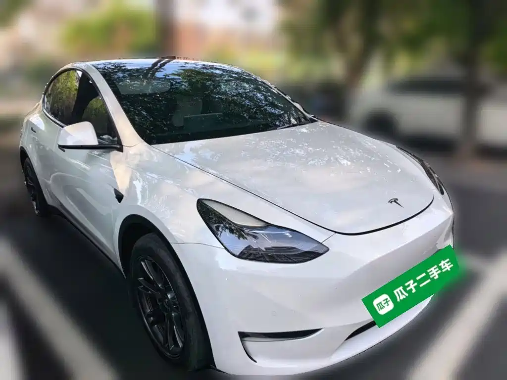 Tesla Model Y — фото 24