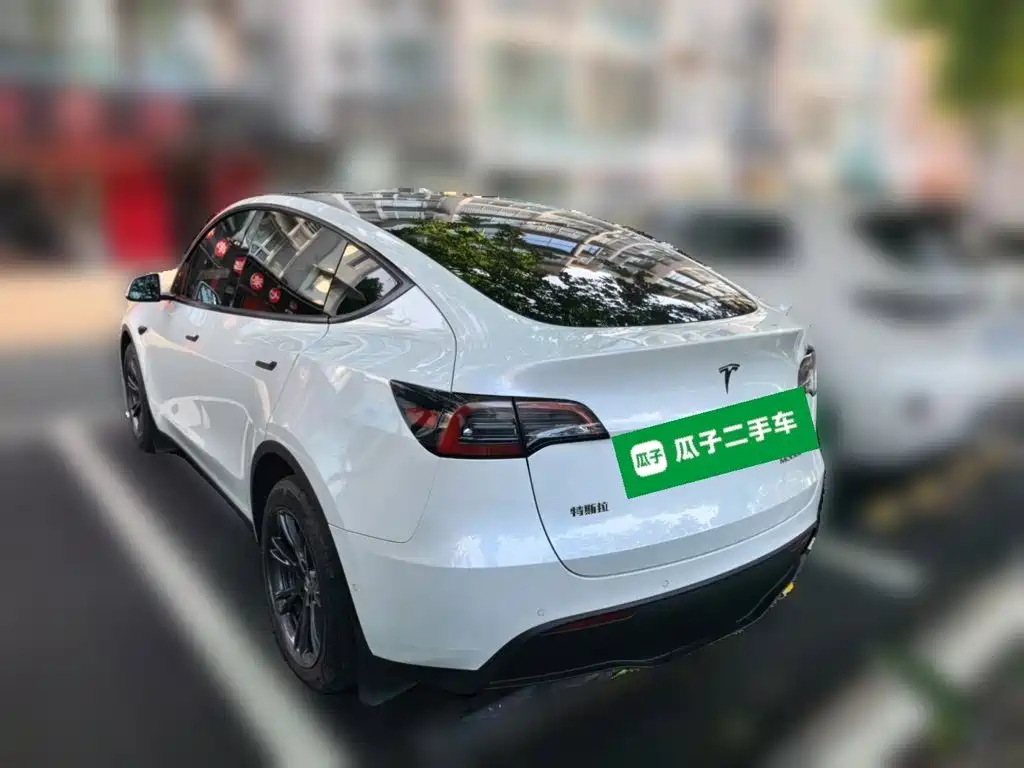 Tesla Model Y — фото 25
