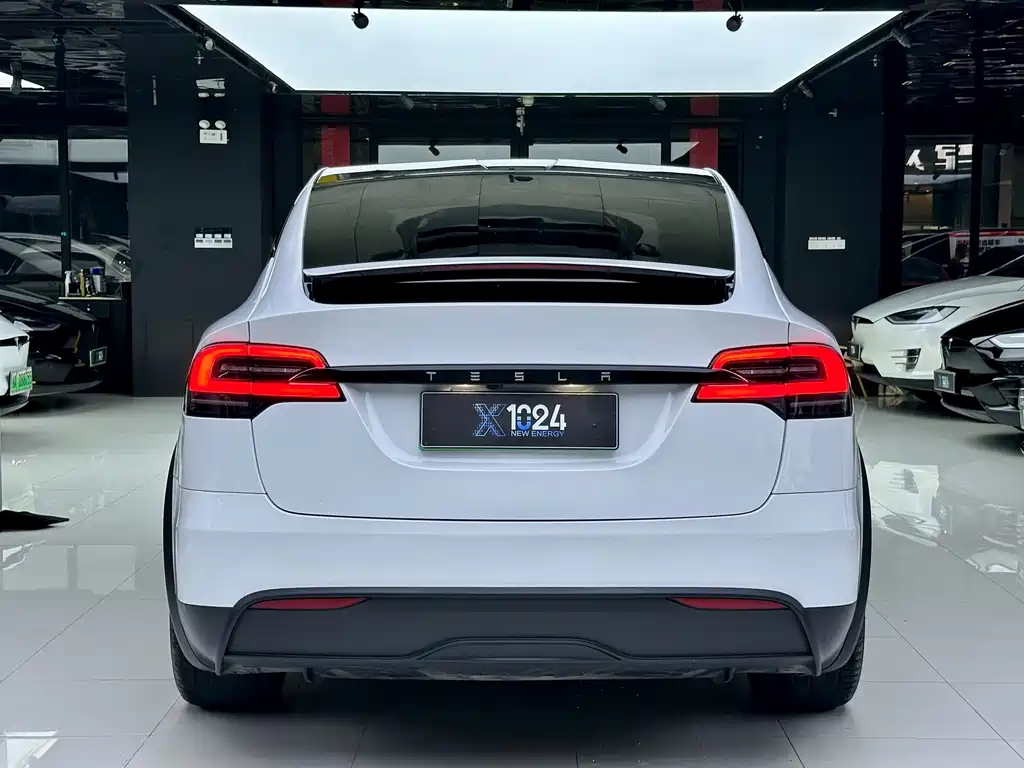 Tesla Model X — фото 5