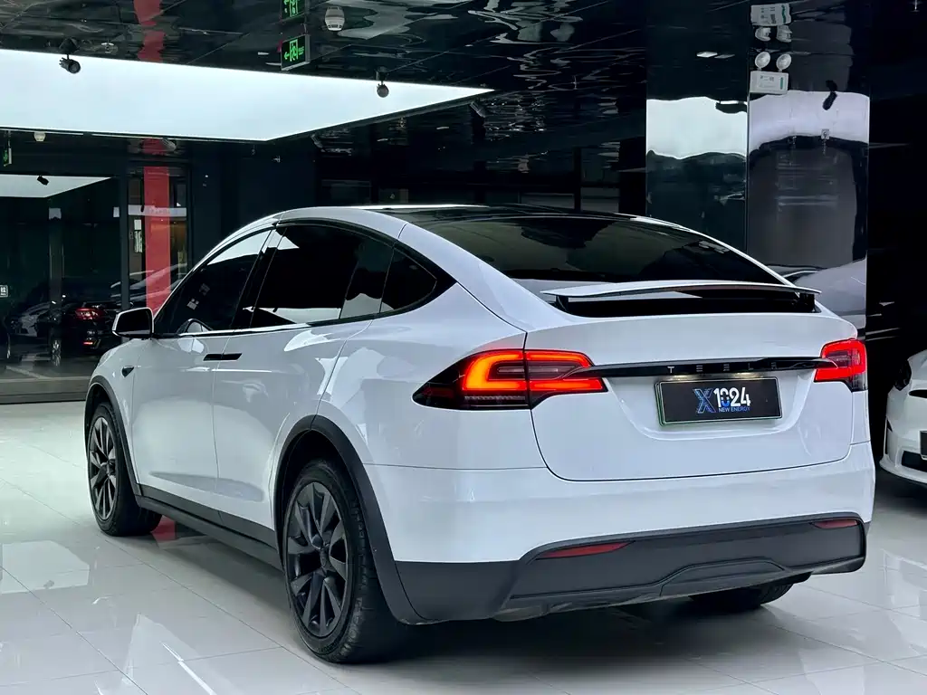 Tesla Model X — фото 6