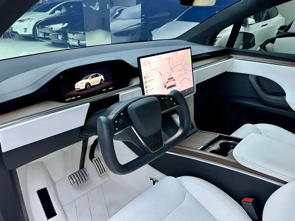 Tesla Model X — фото 8