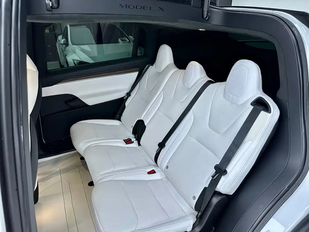 Tesla Model X — фото 9
