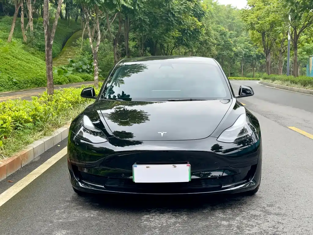 Tesla Model 3 — фото 2
